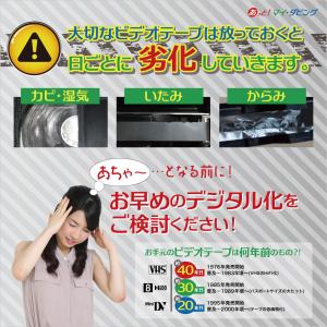 【miniDV・HDV】ビデオテープからDVD...の詳細画像5