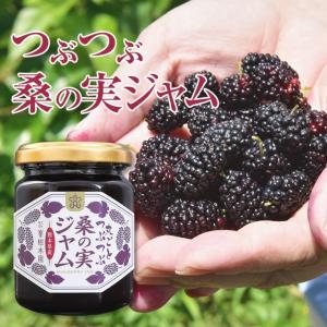 桑の実マルベリー　無農薬栽培　3kg もりひさ屋 桑の実 黒 無農薬 240g ブラックマルベリー ドライ
