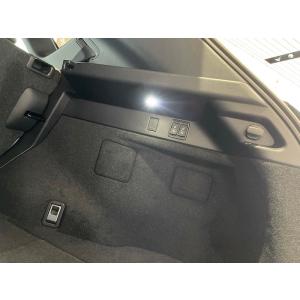 レクサス（LEXUS） UX 10系 NX 20系 純正新型LEDフォグランプ専用 2色