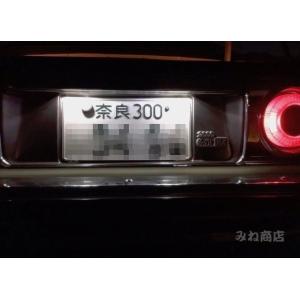 スカイラインジャパン／5050 Power LED(SMD) ナンバー灯／KHGC210