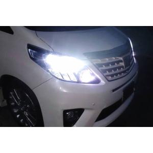 LEDイカリング/ブルー】 ANH20W/ANH25W ヴェルファイア後期 [H23.11