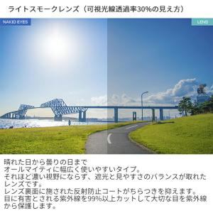 エアフライ スポーツサングラス ジゴスペック ...の詳細画像2