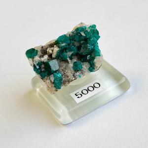 パイライトと水晶の共生鉱物〈ペルー アンカシュ産〉 : Mineral&Fossil