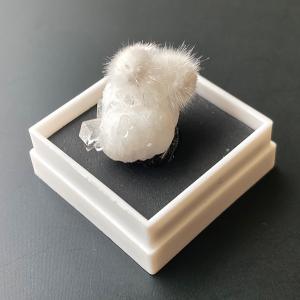 オーケン石 オケナイト（Okenite)直径約14mm コレクションケース付