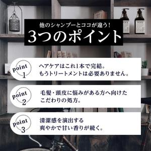 リデン ハイブリッドシャンプー R2 詰め替え...の詳細画像1