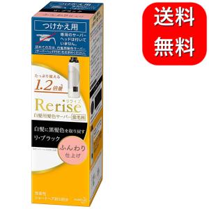 リライズ 白髪用髪色サーバー リ・ブラック ふんわり仕上げ つけかえ用 190g｜mineruva