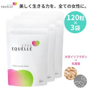 3袋セット エクエル 大塚製薬 パウチタイプ 120粒｜ミネルヴァ