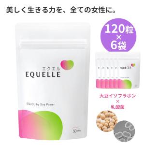 6袋セット エクエル 大塚製薬 パウチタイプ 120粒