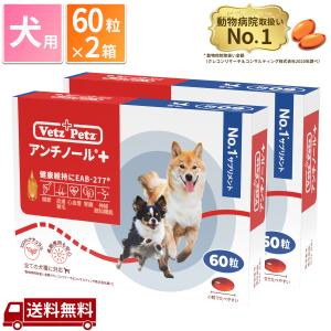【2箱セット】アンチノール 犬用 60粒 サプリメント