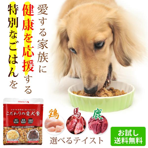 【お試し】こだわりの愛犬食/犬用ごはん 国産無添加のドッグフード ウェット やわらかい おいしい 栄...