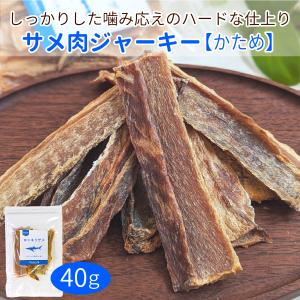 【メール便発送可】気仙沼サメ　サメ肉ジャーキー（40ｇ）