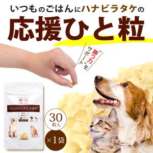 ミネターズドッグフード ヤフー店 商品一覧 おすすめ順 売れ筋通販 Yahoo ショッピング