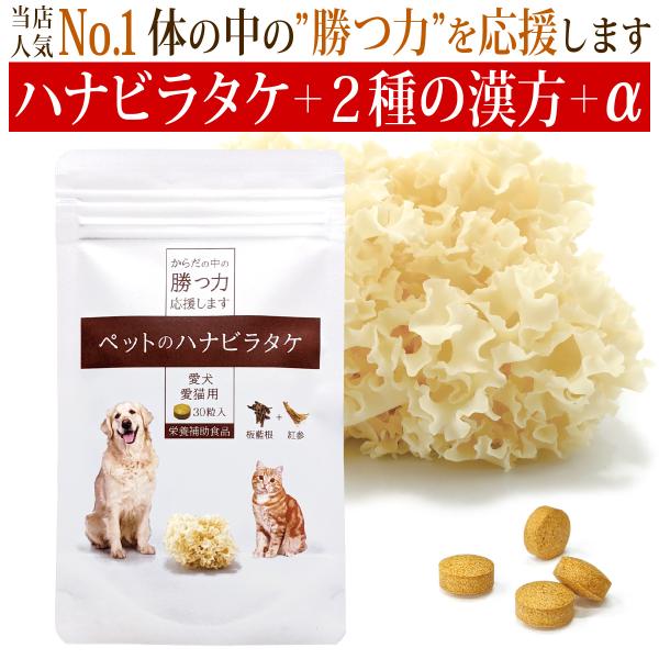 犬猫用サプリメント　ペットのハナビラタケ