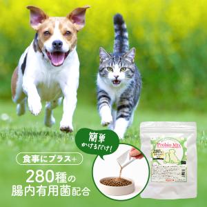 ケンドッグ 1箱 (10本入り) ペット用 シアルマリン 糖鎖栄養素