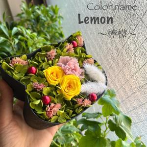 こねこばこ Lemon 檸檬 プリザーブドフラワー オリジナル 猫型 フラワーボックス 個性派 ギフト