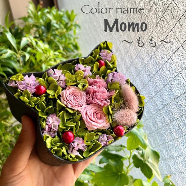 こねこばこ Momo もも プリザーブドフラワー オリジナル 猫型 フラワーボックス 個性派 ギフト