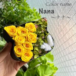 こねこばこ Nana 菜々 ナナ プリザーブドフラワー オリジナル 猫型 フラワーボックス 個性派 ギフト 黄色系 イエロー系 バラ｜mingle-h