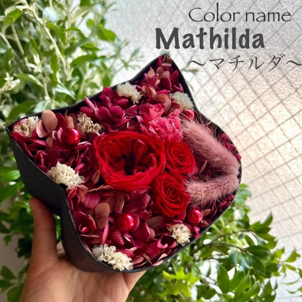 ねこばこ Mathilda マチルダ プリザーブドフラワー オリジナル 猫型 フラワーボックス 個性...
