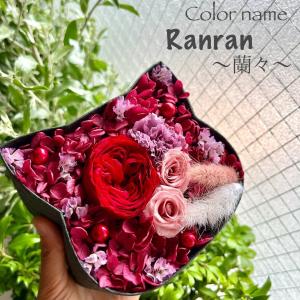 ねこばこ Ranran 蘭々 プリザーブドフラワー オリジナル 猫型 フラワーボックス 個性派 大人かわいい オシャレ 猫ギフト