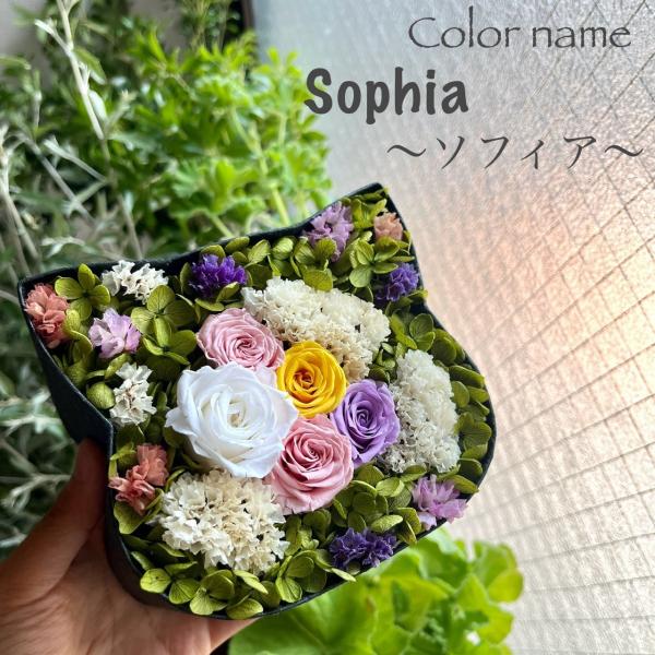 ねこばこ Sophia ソフィア プリザーブドフラワー オリジナル 猫型 フラワーボックス 個性派 ...