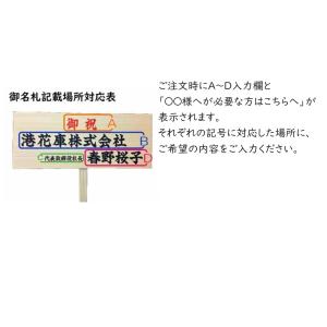 胡蝶蘭 5本立ち 大輪 御祝いの詳細画像3