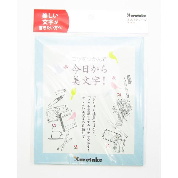 テキスト 呉竹 コツをつかんで今日から美文字!  DAW100-6