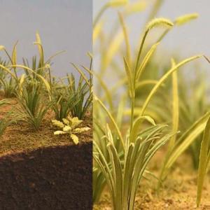 猫じゃらし 草 ゲーム おもちゃ の商品一覧 通販 Yahoo ショッピング