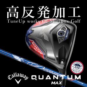【高反発加工/CT値305/ヘッドスピード43m...の商品画像