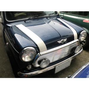 ローバーミニ/クラシックミニ カーボンドアパネル : MINI DELTA
