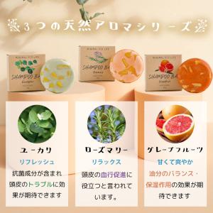 日本製 固形シャンプー MEL 北海道発 無添...の詳細画像5
