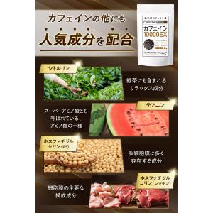 カフェイン タブレット 錠剤 サプリ 眠気覚ま...の詳細画像4