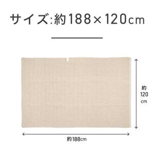 コイズミ 電磁波カット 電気毛布 掛け敷き 1...の詳細画像1