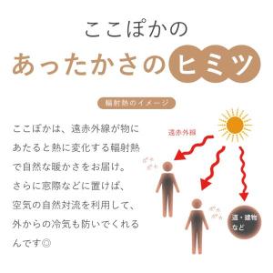 moku. パネルヒーター ここぽか コンベク...の詳細画像4
