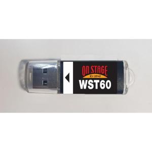 オン・ステージ Wシリーズ専用曲チップ PK-W...の商品画像