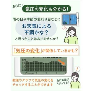 タニタ(TANITA) グラフ付き デジタル温...の詳細画像5