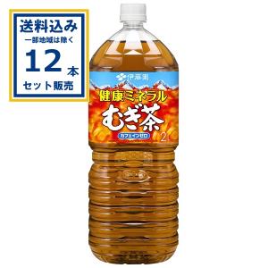 伊藤園（ITO EN） 送料無料 冷凍兼用ボトル 冷梅 500gペットボトル 48