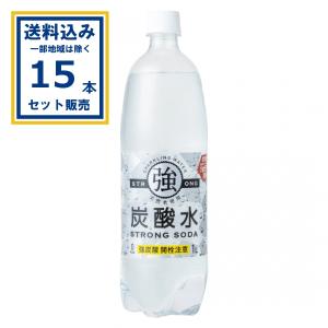 友桝飲料 強炭酸水 レモン 1000ml×15本×1ケース (15本)(送料無料 、一