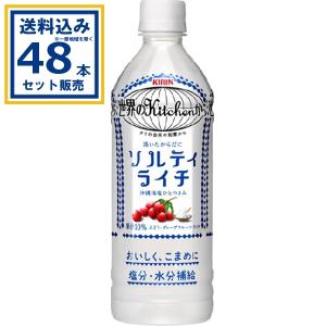 サッポロ 黒ラベル 生ビール黒ラベル 350ml×24本×2ケース (48本)(送料