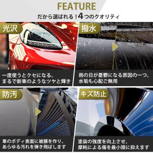 車用ナノコーティング剤 2本セット コスパ最強...の詳細画像4