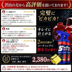 車用ナノコーティング剤 2本セット コスパ最強...の詳細画像2