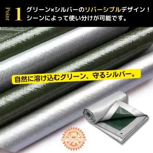 防水シート 屋外 屋根 床 ベランダ 厚手 グ...の詳細画像2