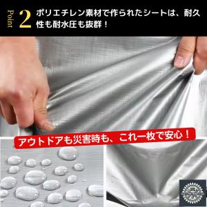 防水シート 屋外 屋根 床 ベランダ 厚手 グ...の詳細画像4