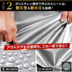 防水シート 屋外 屋根 床 ベランダ 厚手 グ...の詳細画像4