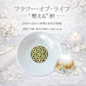 盛り塩 交換不要 皿付き 2個セット 浄化セッ...の詳細画像2