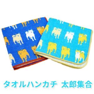 タオルハンカチ 犬柄 太郎集合 ハイメン 七曜 犬 オーナーグッズ
