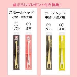 【選べる特典付】【2個】 クリスタルジョイ C...の詳細画像4