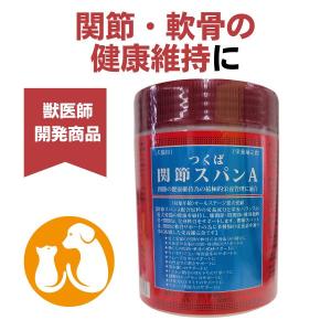 共立製薬 【賞味期限2028.7月】デンタルバイオ 100粒 : みんな笑顔