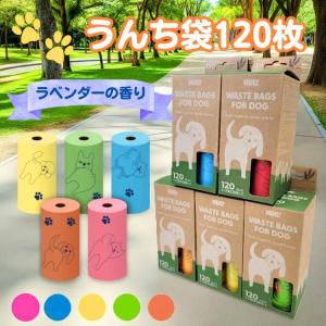 共立製薬 【賞味期限2027.4月】モエギタブ 100粒 犬猫用 : みんな笑顔