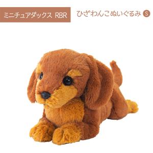 ひざわんこ S トイプードルGY ぬいぐるみ 犬 オーナーグッズ : みんな