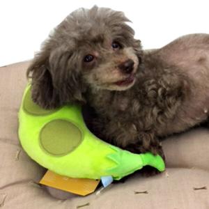 idog もぐもぐピロー 枕 ピロー クッショ...の詳細画像2
